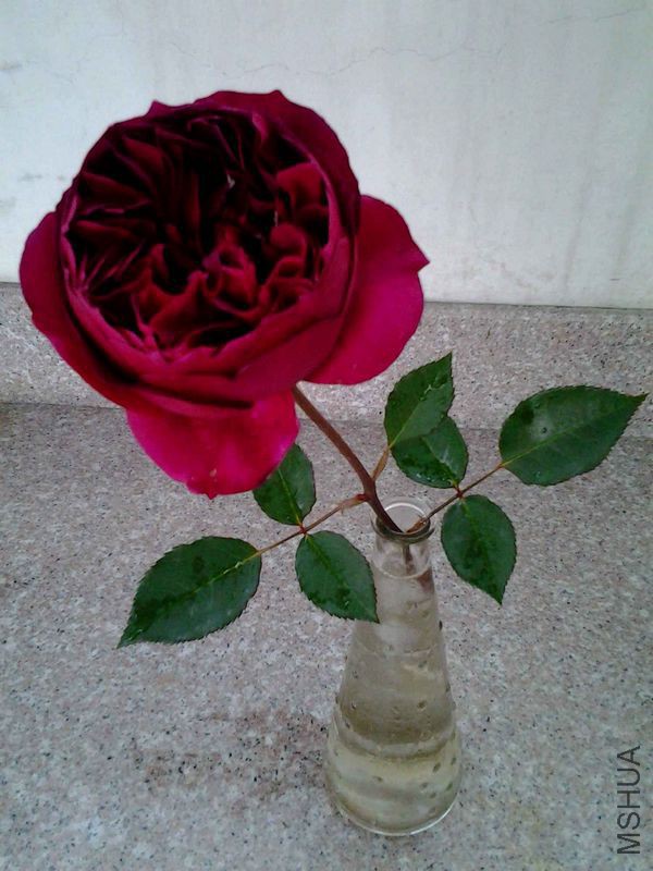 20150423_174441.jpg