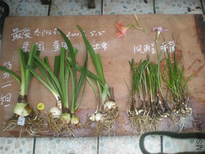 P1019002.JPG