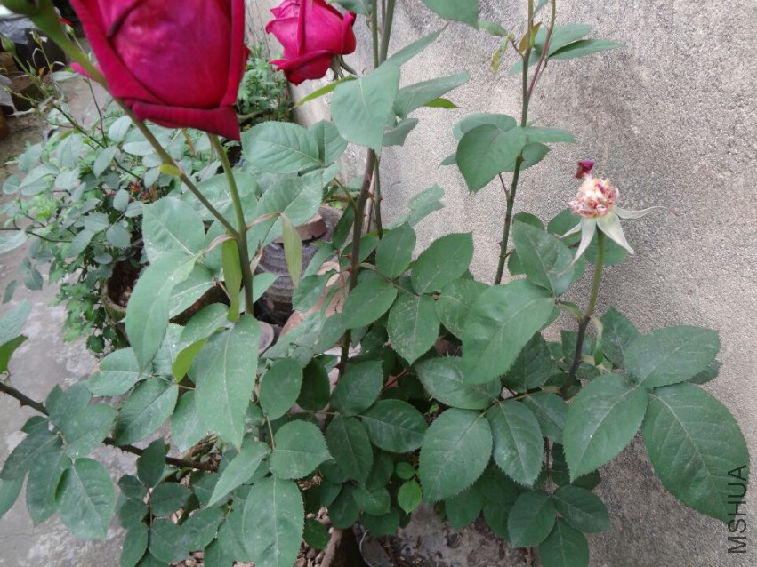 99409AB59F1C1D53FED3543089623199_0.jpg