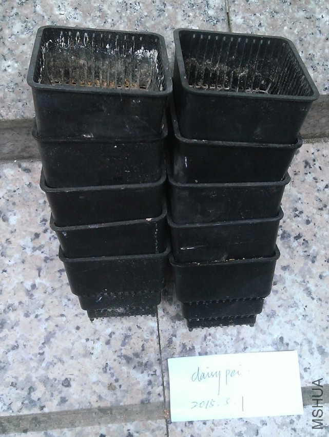 WP_20150501_006.jpg