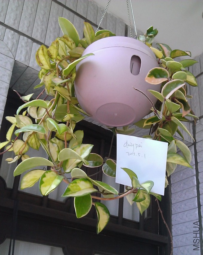 WP_20150501_016.jpg