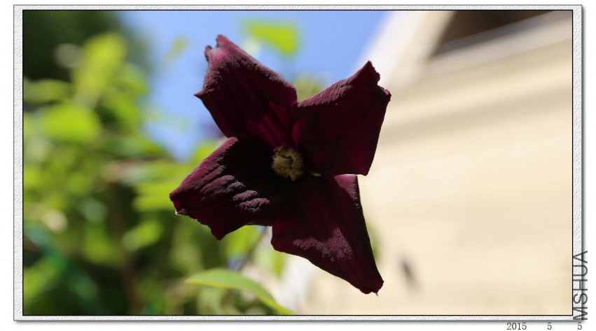 2015050505.jpg