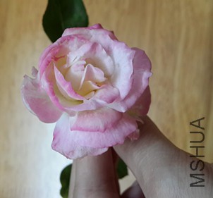 20150504_180554_����.jpg