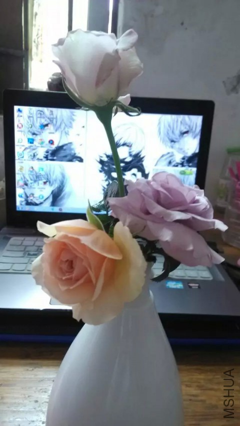 ��˿�������棬��ɫ�籩