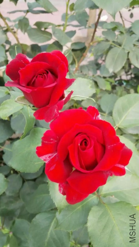 psb6T7MNIQG.jpg