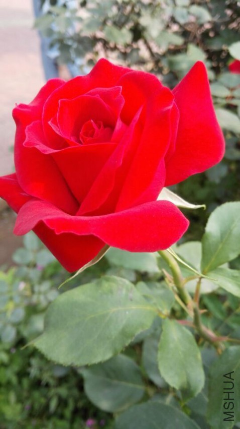 QQͼƬ20150505203943.jpg