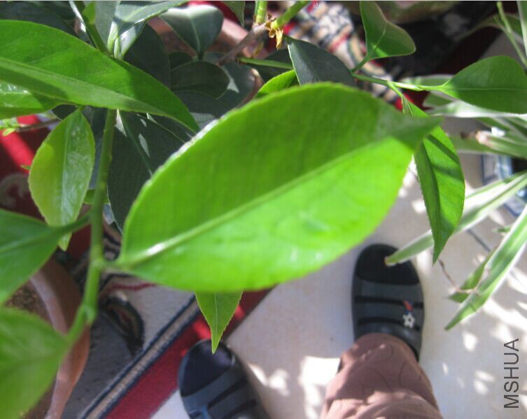 QQͼƬ20150505213933.jpg