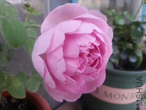 20150505_185032.jpg