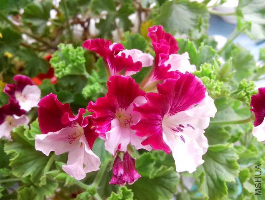 ��Ƭ_20150505_132423.jpg