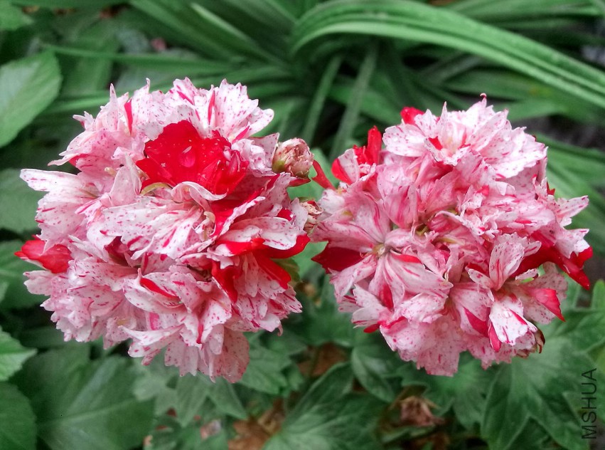 ��Ƭ_20150502_081536.jpg