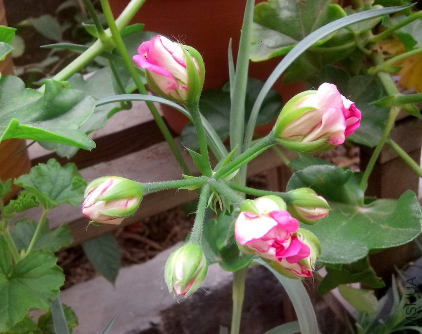 ��Ƭ_20150428_090358.jpg