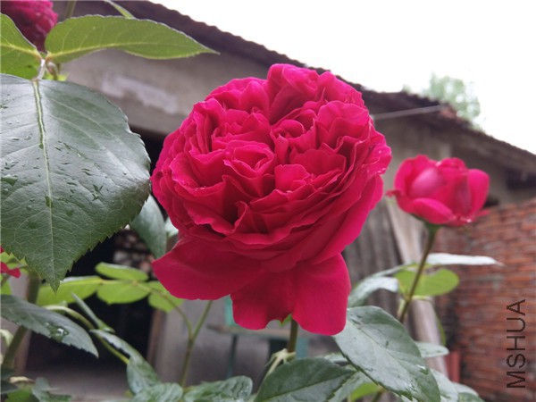 IMG_20150504_083022.jpg