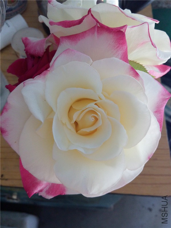 IMG20150502161915.jpg