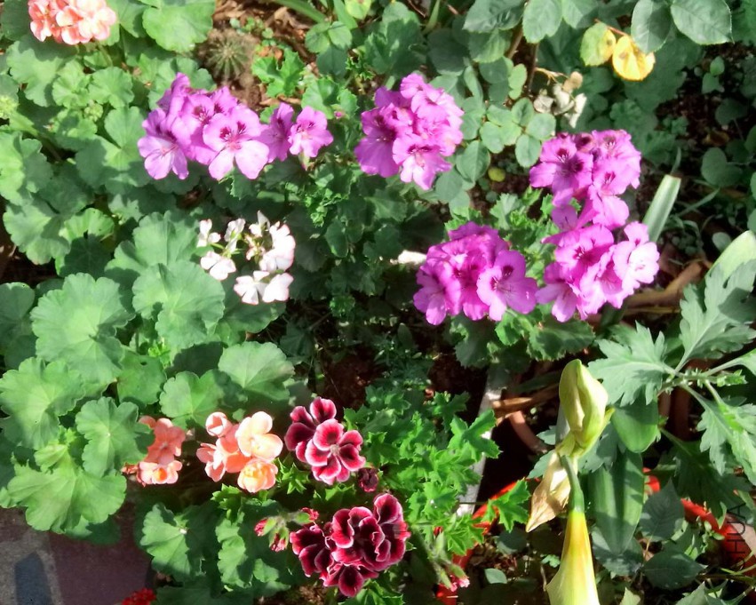 ��Ƭ_20150503_083103.jpg
