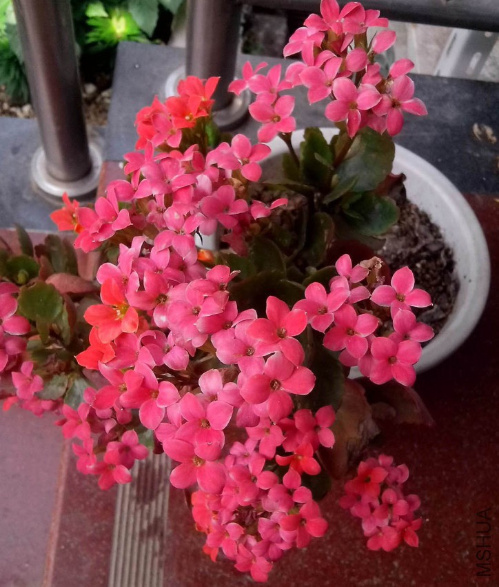 ��Ƭ_20150428_091808.jpg