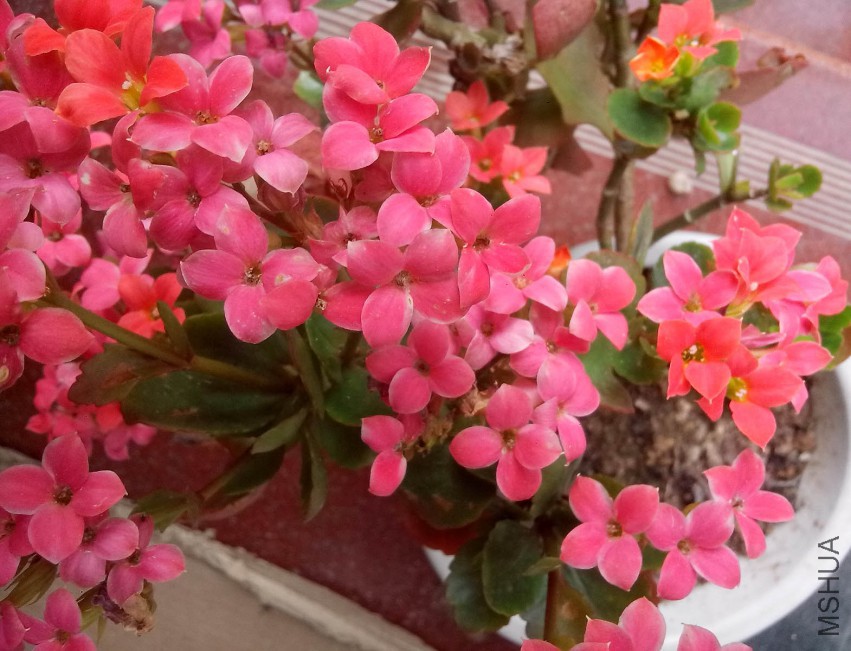 ��Ƭ_20150428_091832.jpg