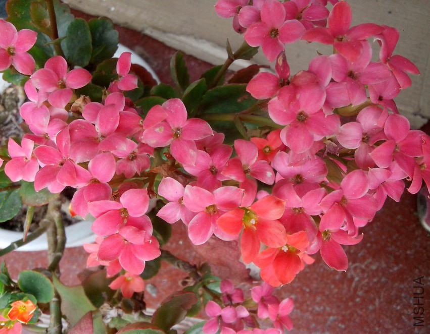 ��Ƭ_20150428_091840.jpg