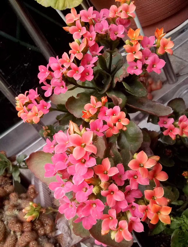 ��Ƭ_20150403_114807.jpg