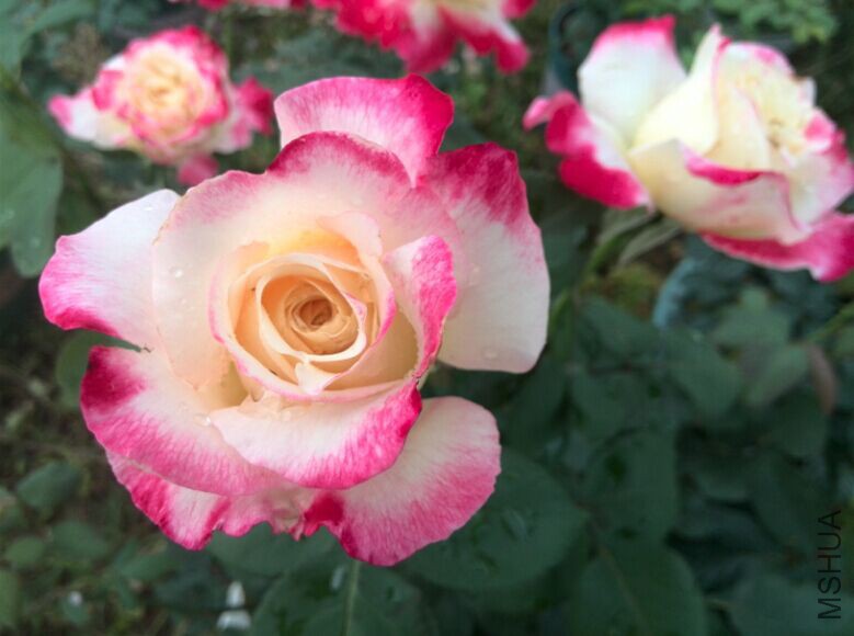 QQͼƬ20150506102941.jpg
