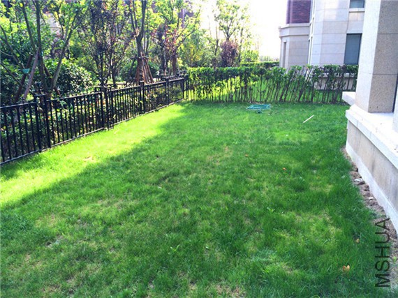 2014-05-28 164519.jpg