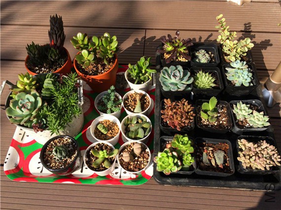 2014-11-02 145253.jpg