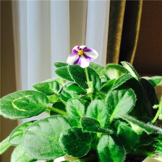 2015-02-05 104044.jpg
