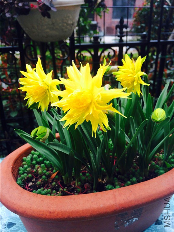 2015-03-14 102446.jpg