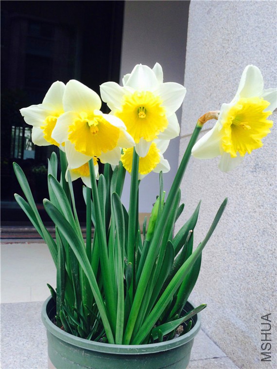 2015-03-14 102531.jpg