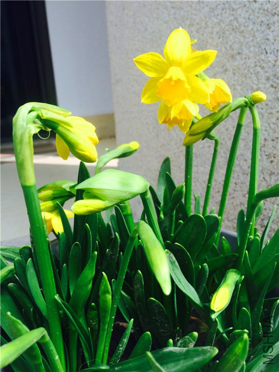 2015-03-21 101109.jpg