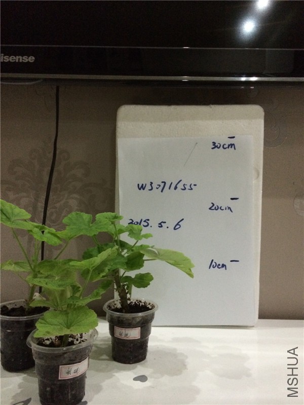�½��ļ���IMG_2648.jpg