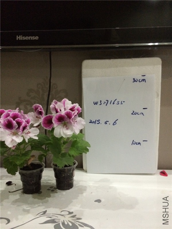 �½��ļ���IMG_2652.jpg