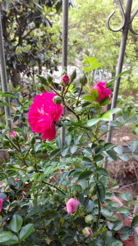 QQͼƬ20150506164726.jpg