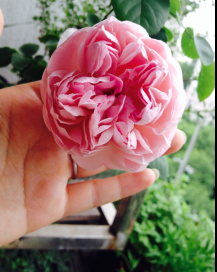 QQͼƬ20150506170754.png