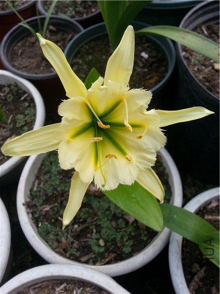 20150506_165512.jpg