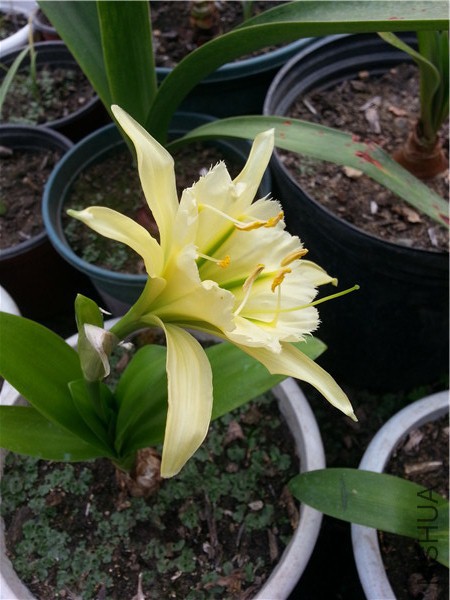 20150506_165519.jpg