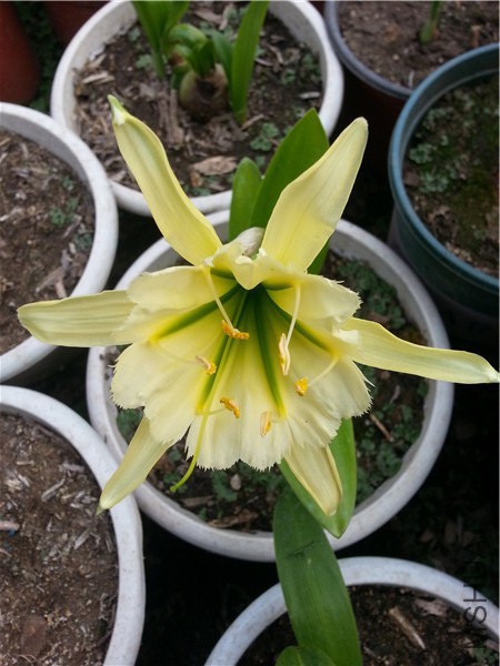 20150506_165607.jpg