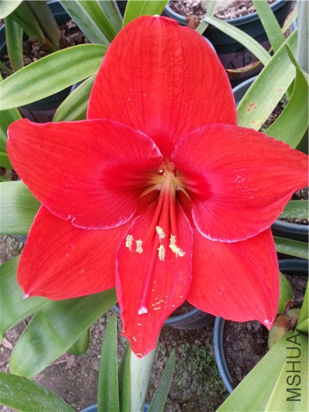 20150506_165709.jpg