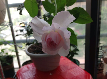 QQ��ͼ20150507092059.png