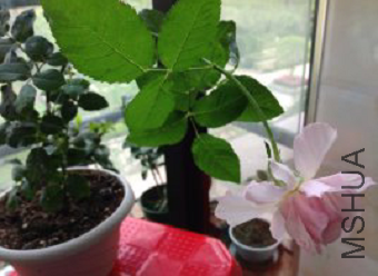 QQ��ͼ20150507092045.png