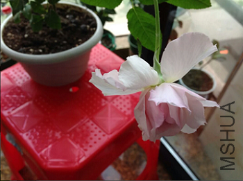 QQ��ͼ20150507092027.png