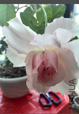 QQ��ͼ20150507092014.png