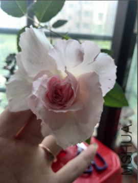QQ��ͼ20150507092000.png