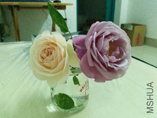 IMG_20150220_201451.jpg