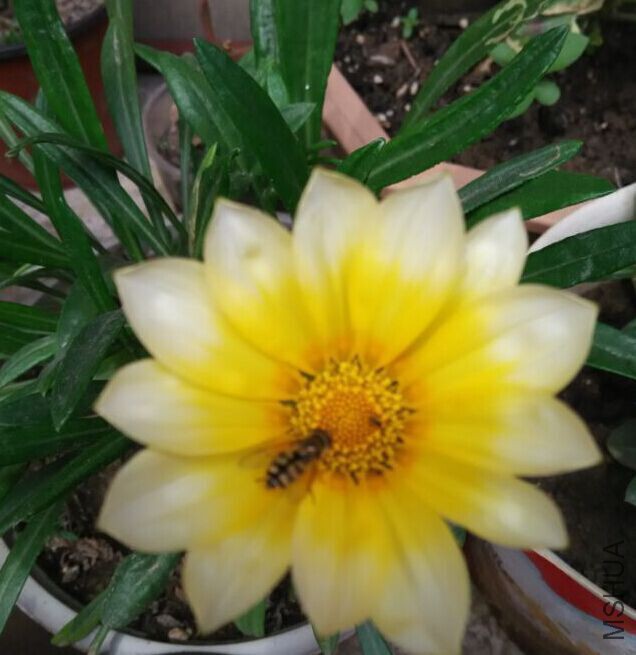 QQͼƬ20150507152441.jpg