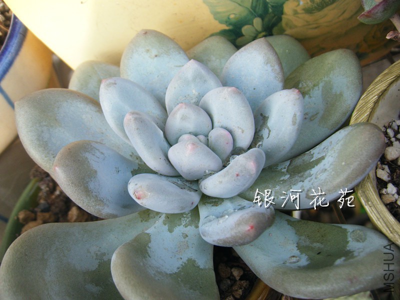 DSCF0322_����.jpg