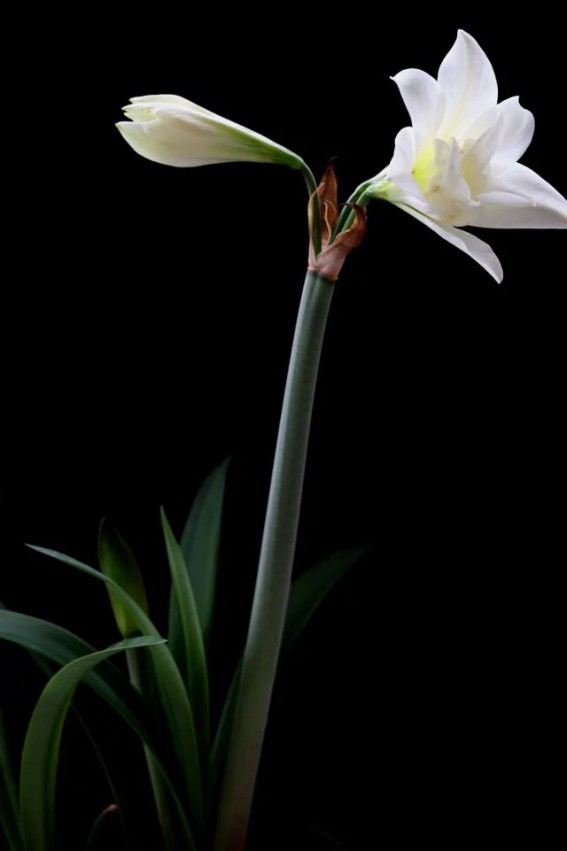 psb (11).jpg
