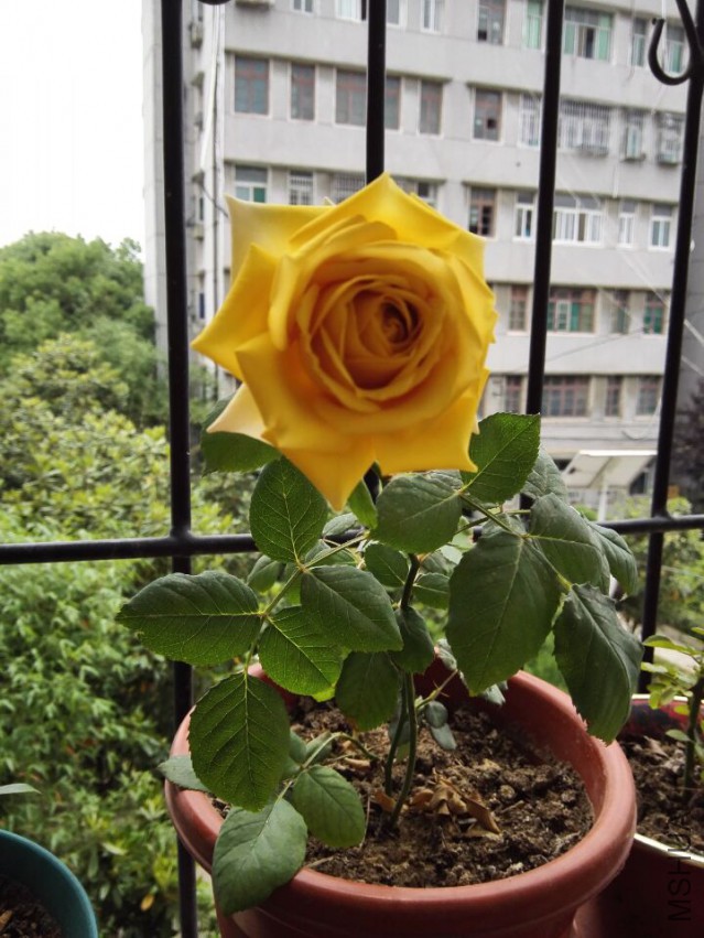 �ҷ������������ʲôƷ���أ�