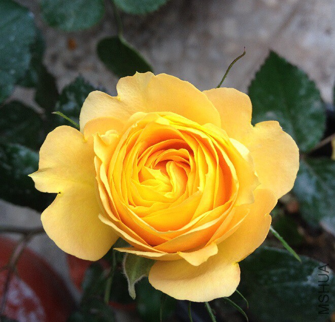 QQ��ͼ20150507204746.jpg