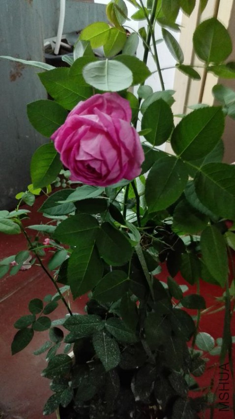 IMG_20150507_184329_����.jpg