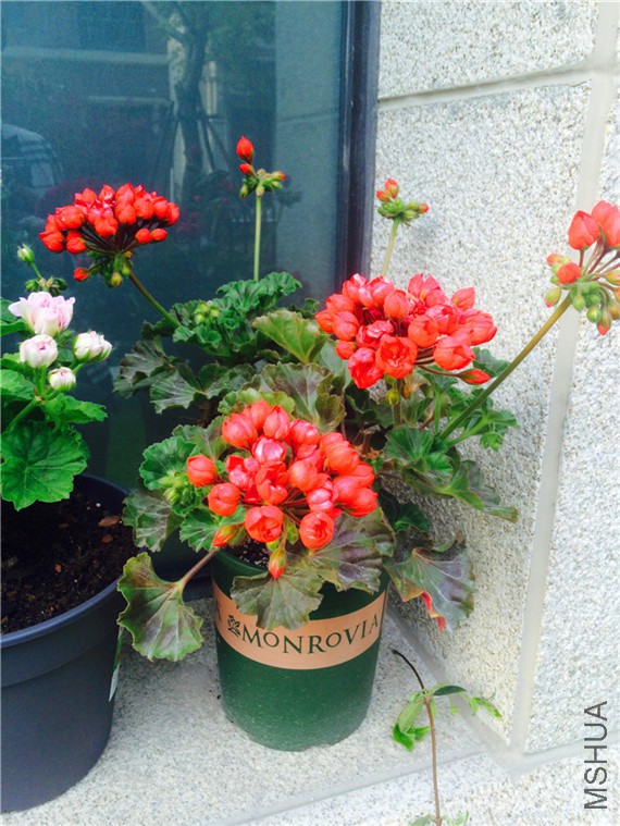 2015-04-10 170838.jpg